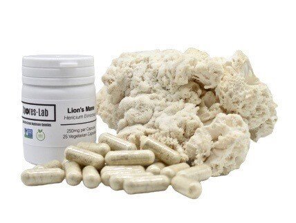 Lions Mane Supplement Capsules (500mg