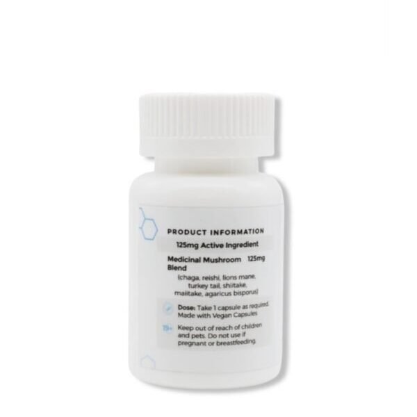 Multi Mushroom Microdose
