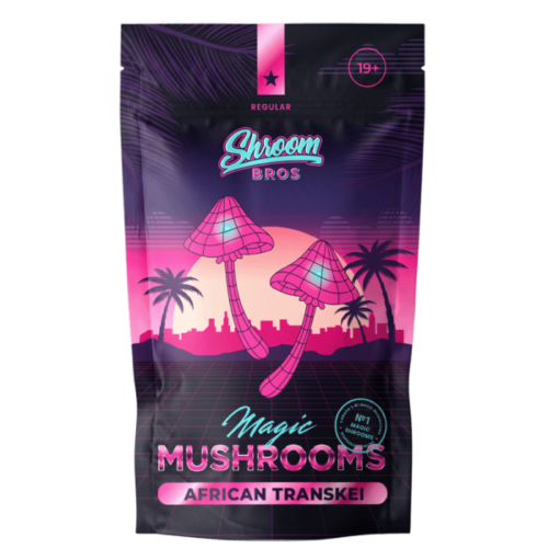 African Transkei Magic Mushrooms