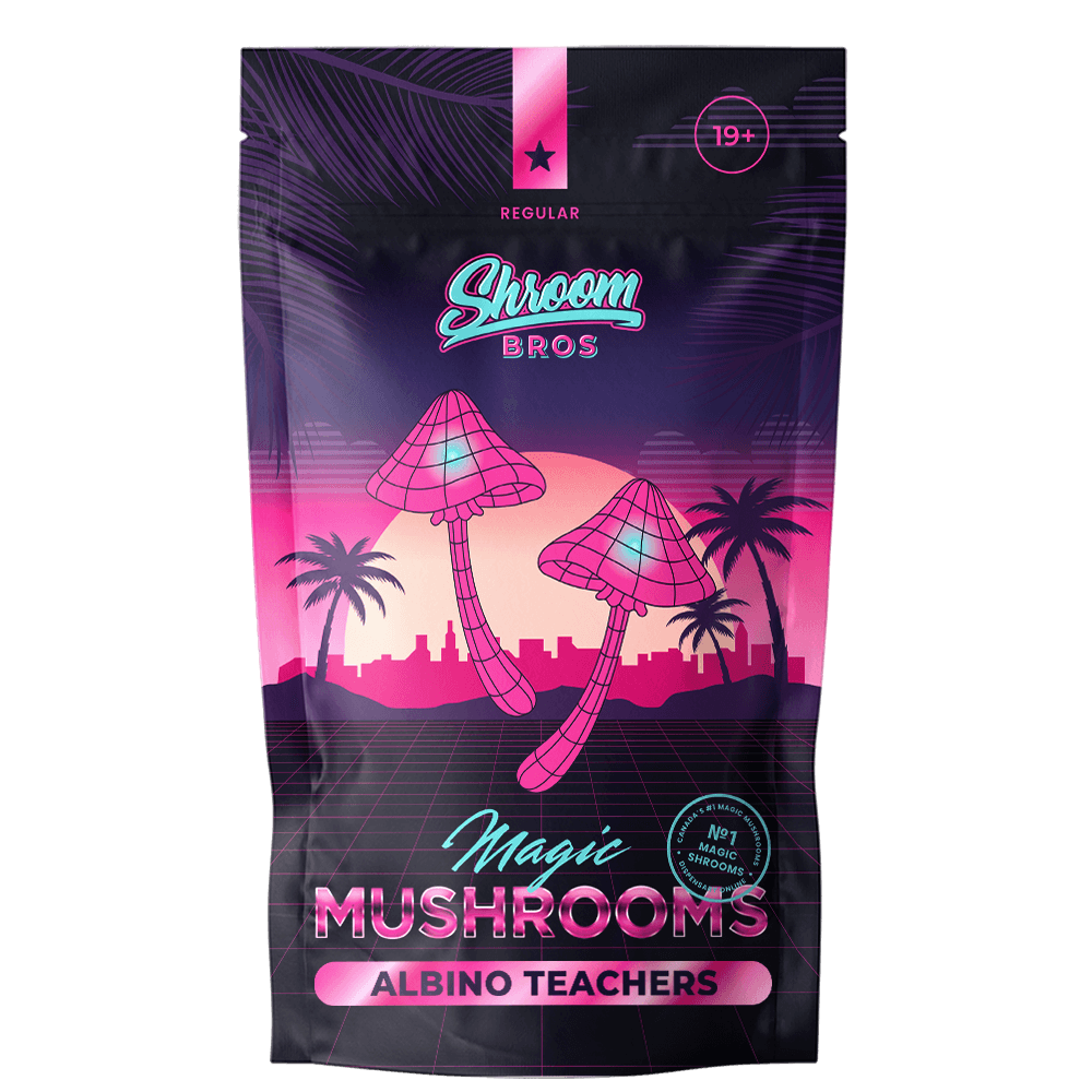 Albino Teachers magic mushrooms