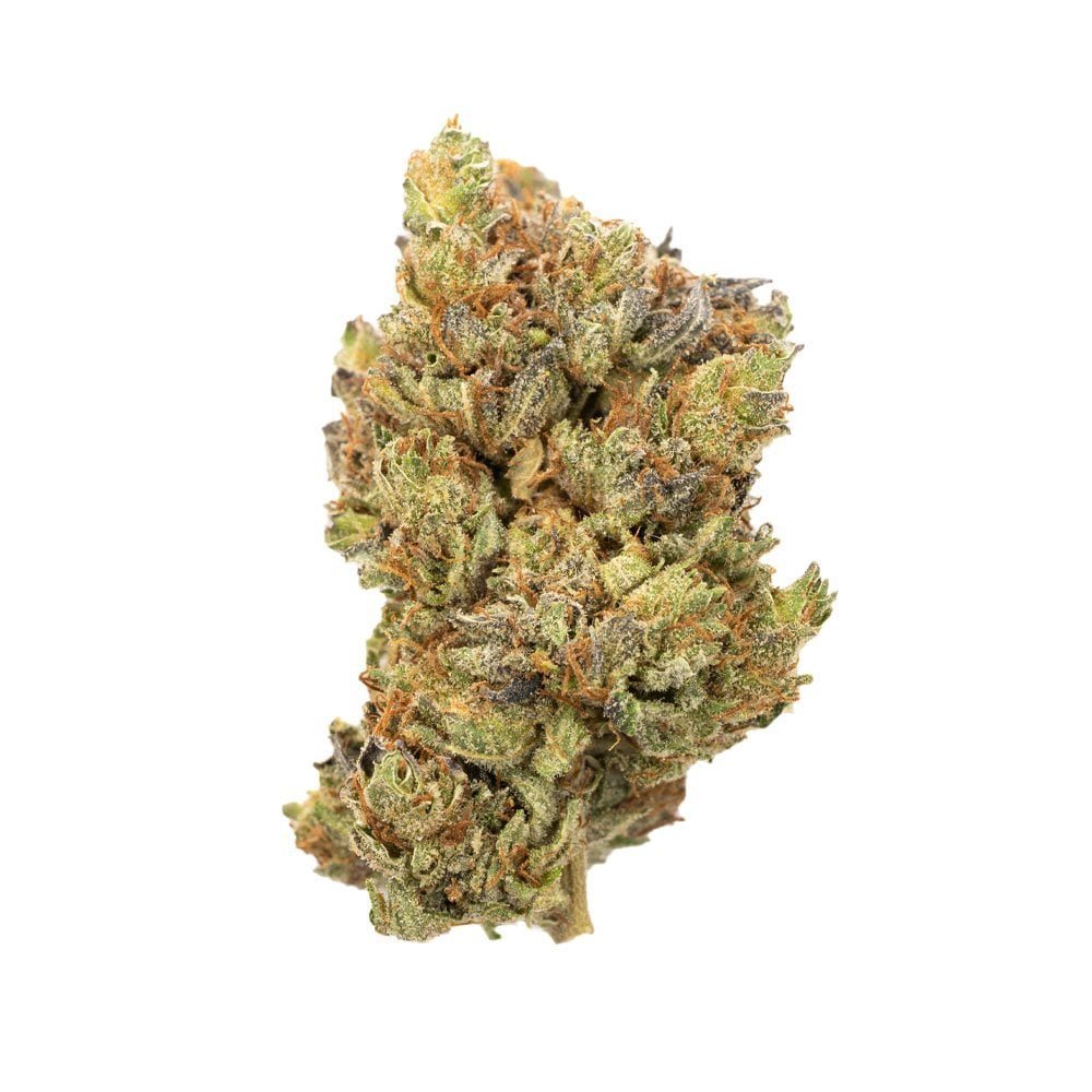 Bluefin Tuna Hybrid Deadhead Chemist - Image 2