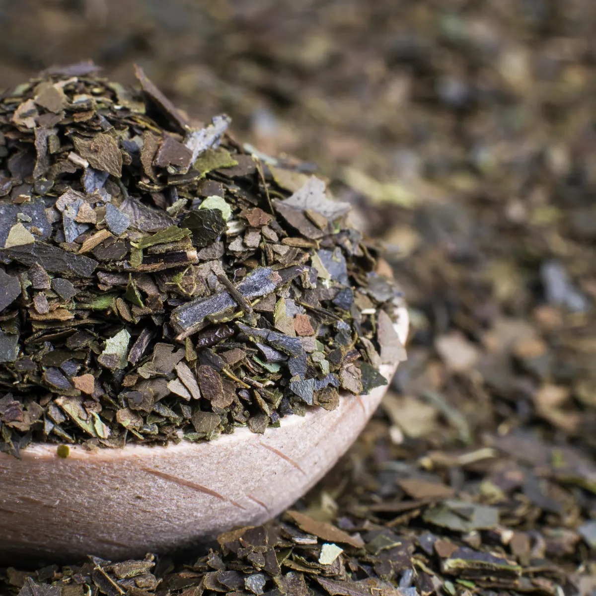 Ayahuasca#3