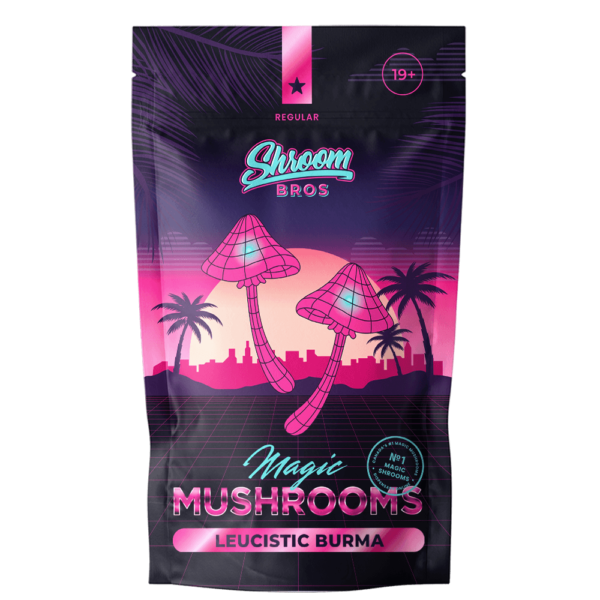 Buy Leucistic Burma Shrooms