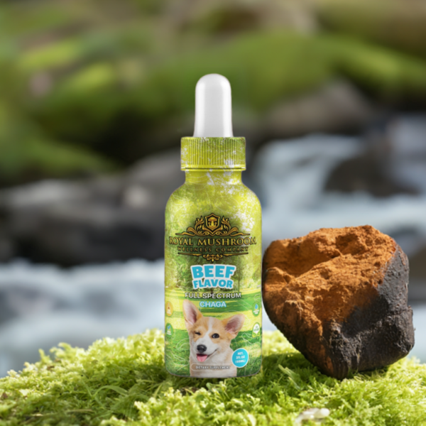 Dogs Tincture Beef Flavor – Chaga