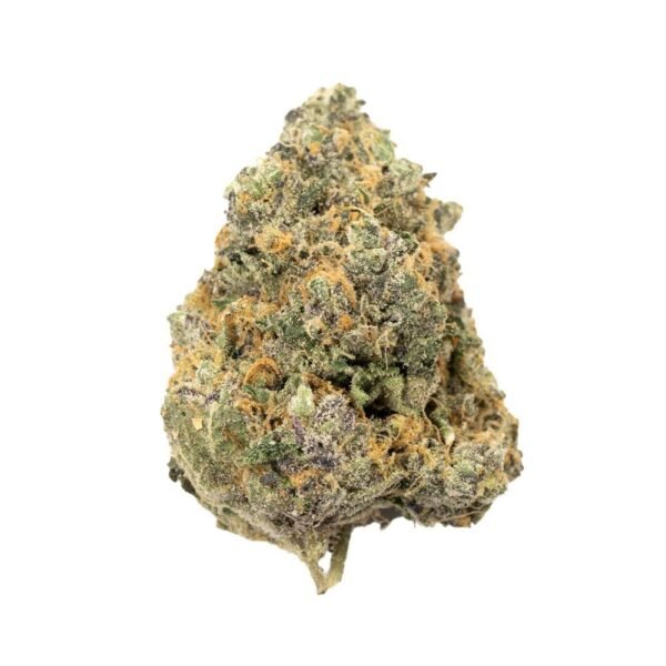 Dolato | Hybrid