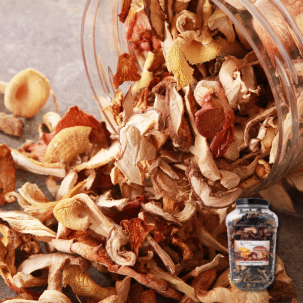 Dried Gourmet Mix Mushroom 500g – Jean D’Audignac