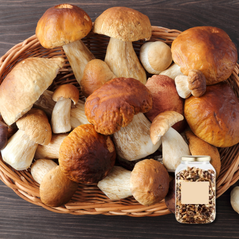 Dried Porcini 500g – Jean D’Audignac