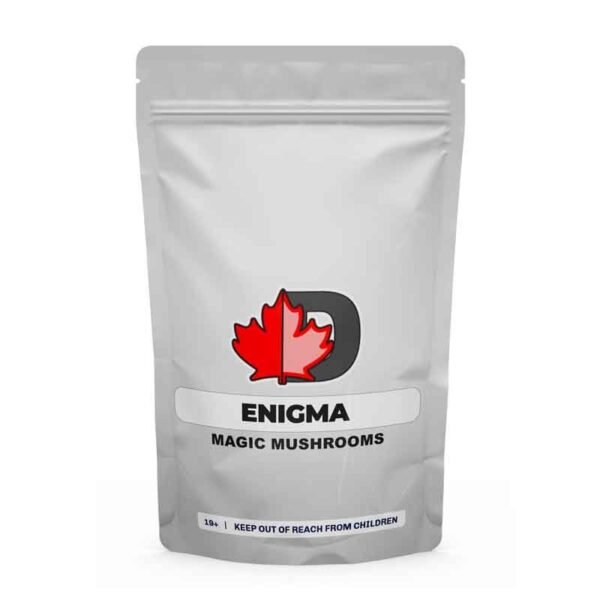 Enigma Magic Mushrooms