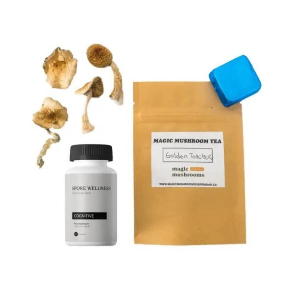 First-Timer Magic Mushroom Kit Psych 101
