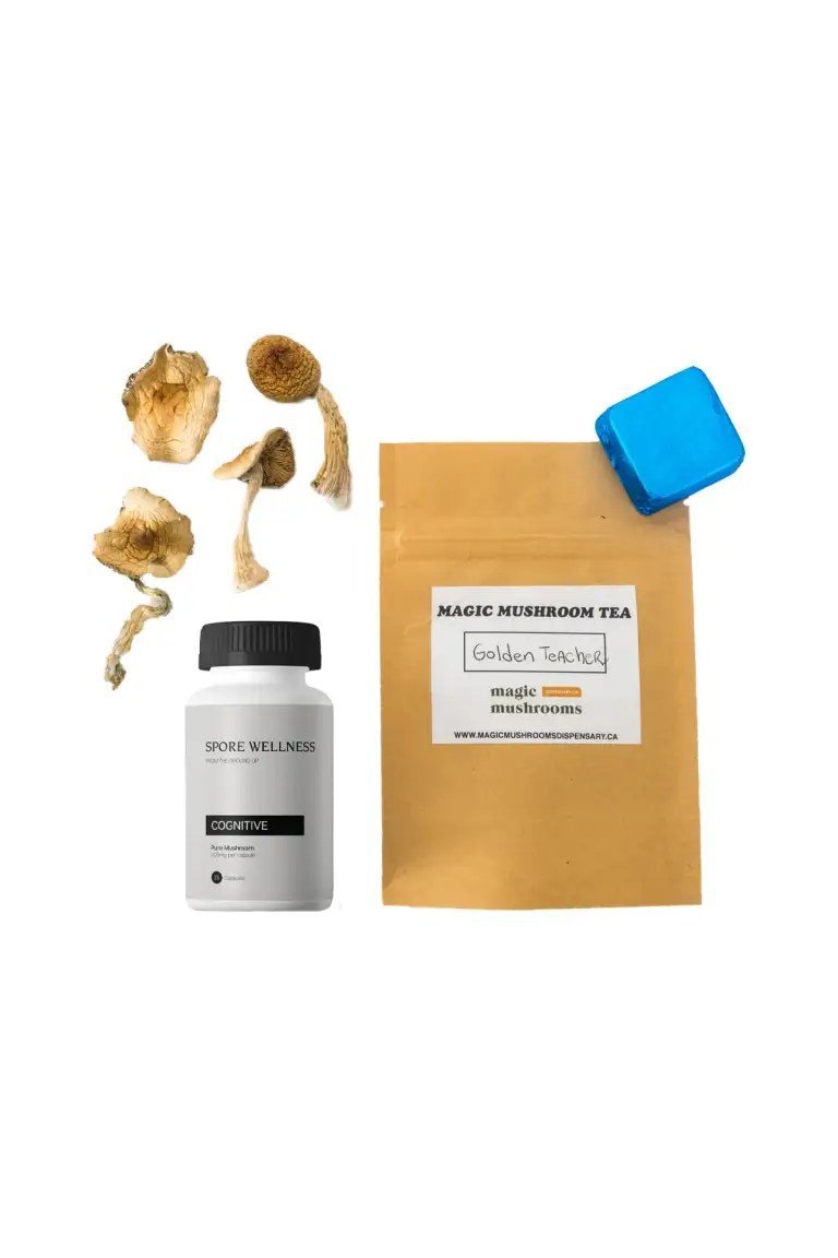 First-Timer Magic Mushroom Kit Psych 101