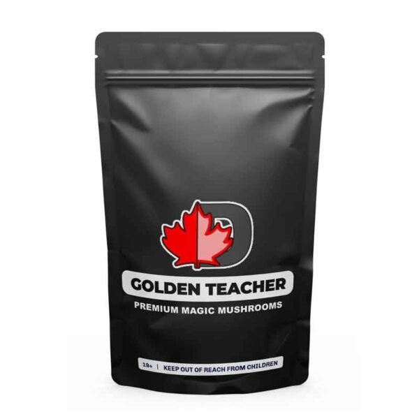 Golden Teacher Premium Magic Mushrooms