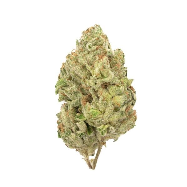 Gorilla Bomb | Sativa