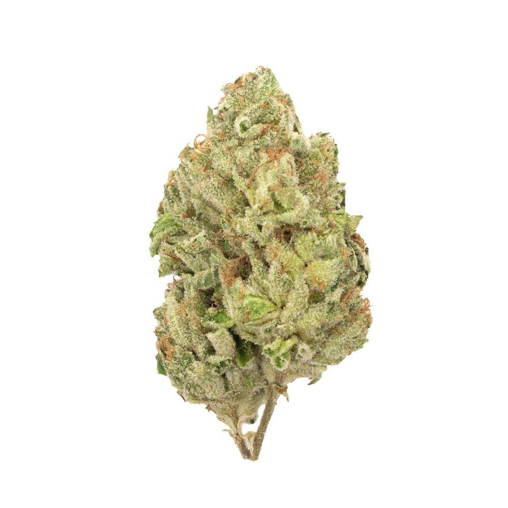 Gorilla Bomb | Sativa