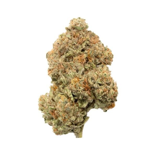 Grease Monkey | Hybrid