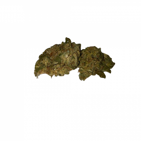 BLOW OUT SALE Critical Mass Hybrid 28G $39