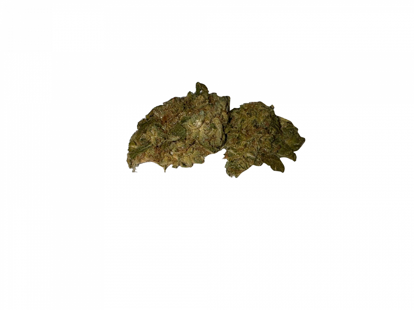 BLOW OUT SALE Critical Mass Hybrid 28G $39