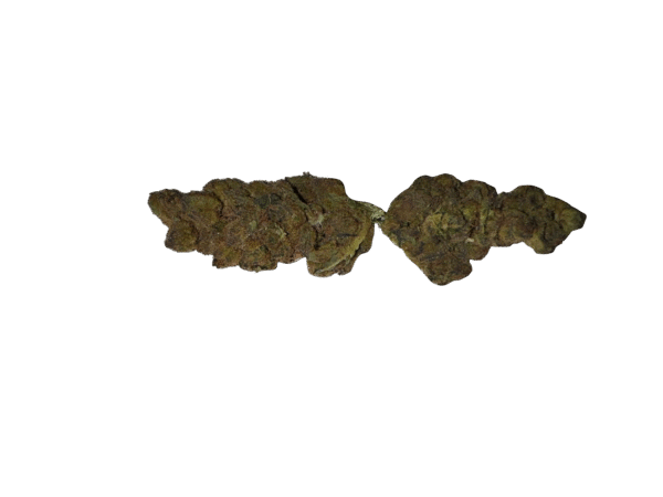 BLOW OUT SALE Wedding Pie Hybrid 28G $69