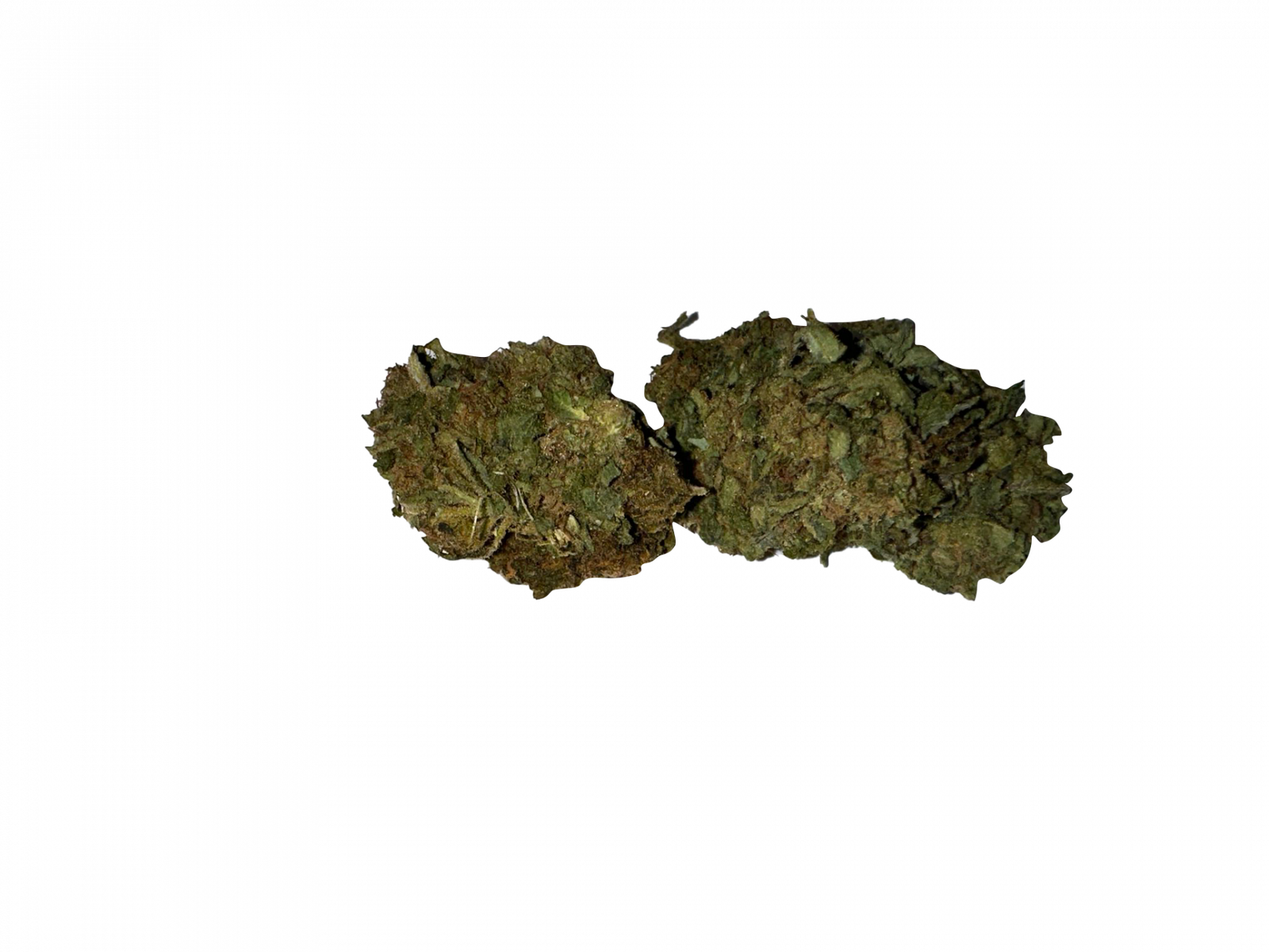 BLOW OUT SALE Afghan Indica 28G $89