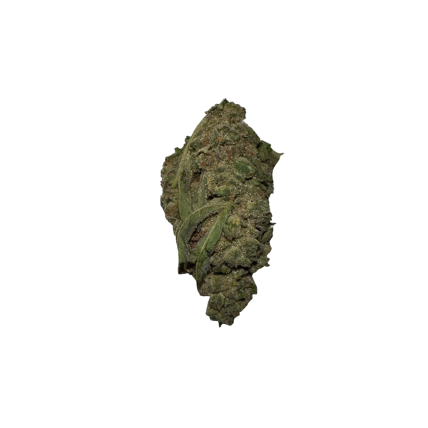 BLOW OUT SALE Apricot 28G $49
