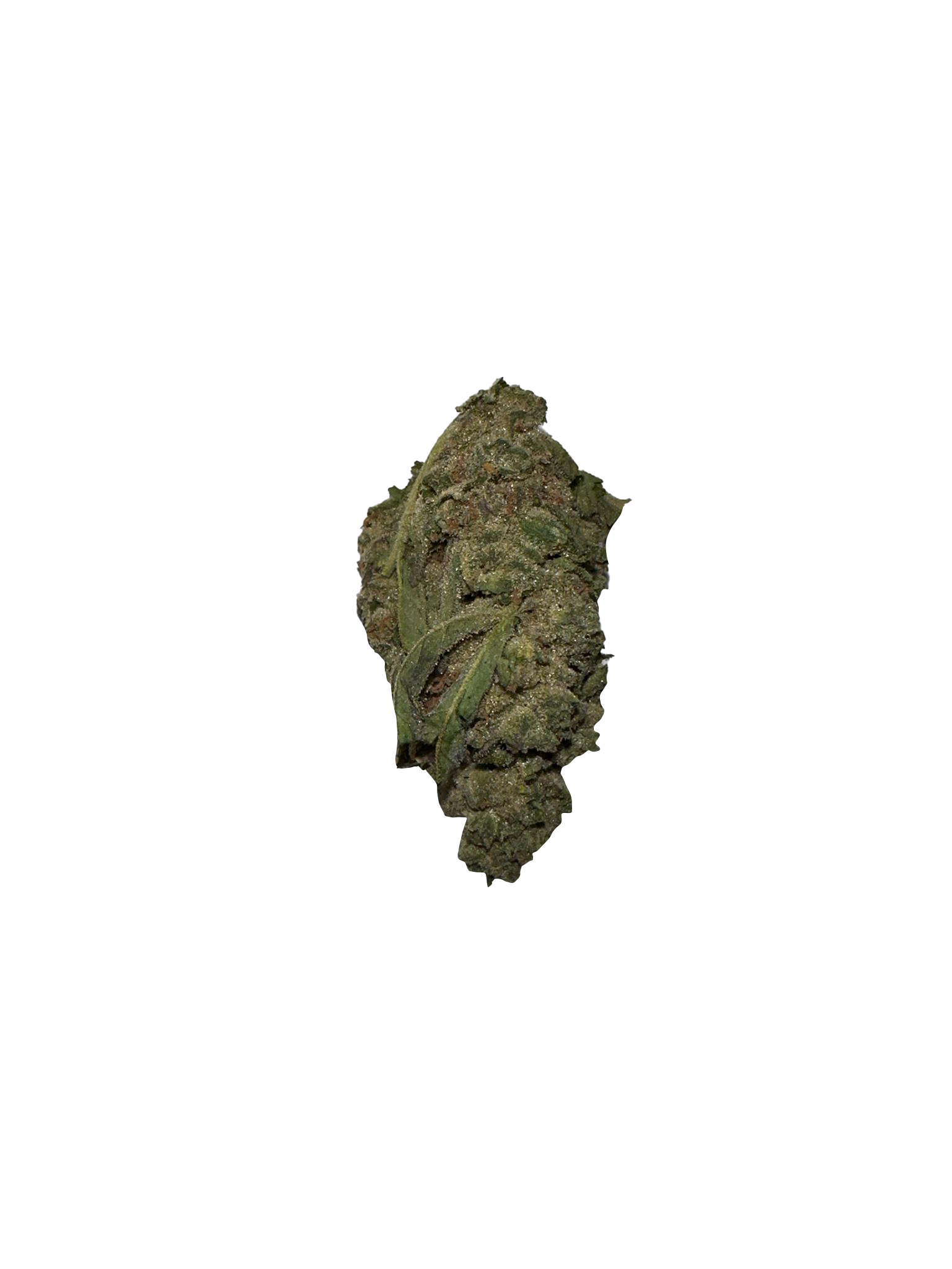BLOW OUT SALE Apricot 28G $49