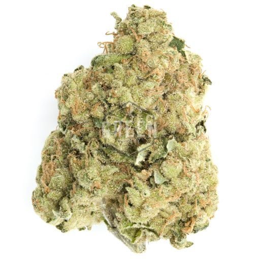 Larry OG | INDICA