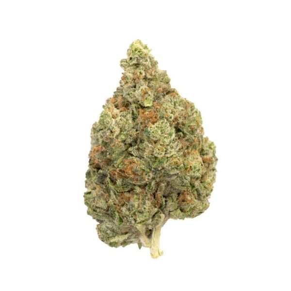 Master Kush | Indica