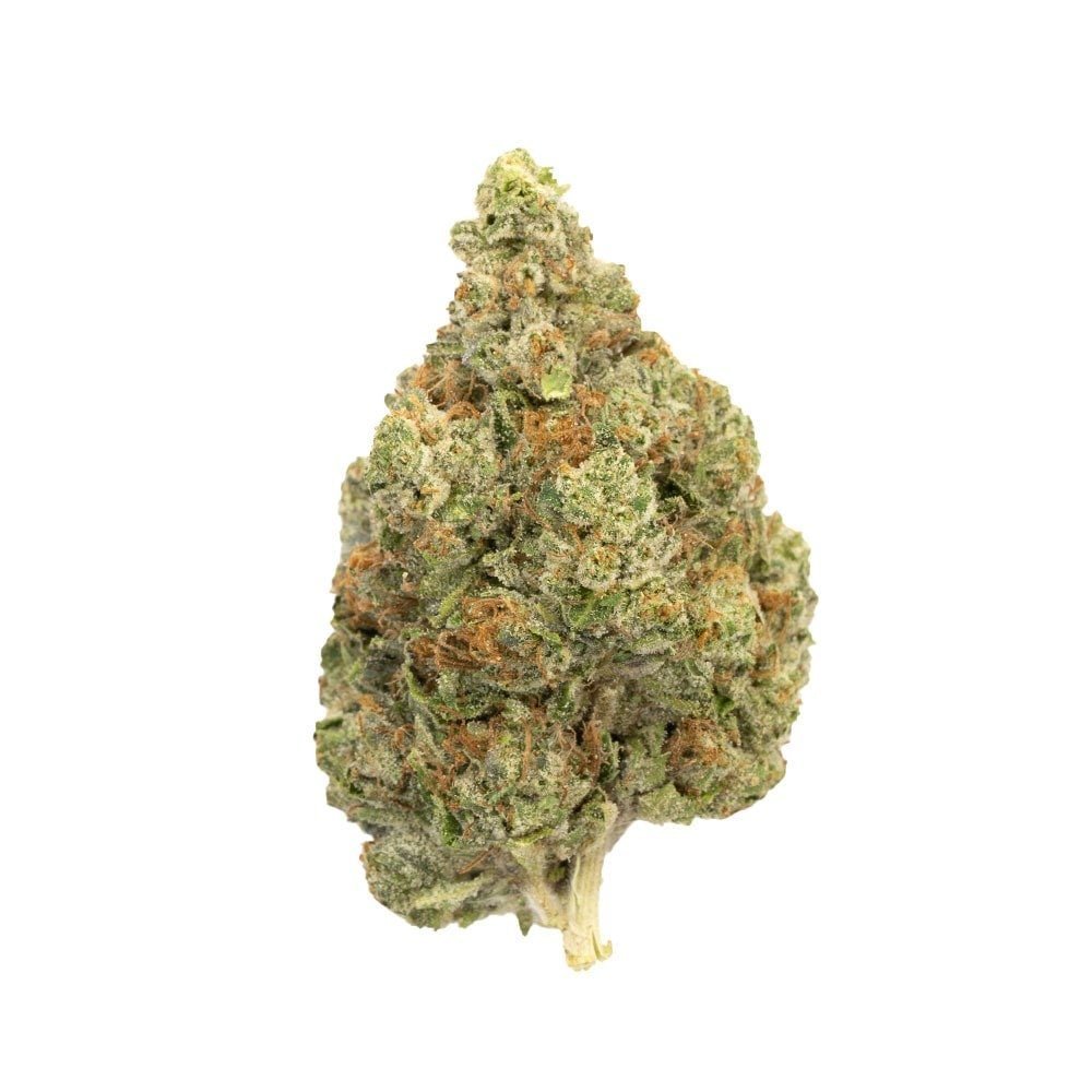 Master Kush | Indica
