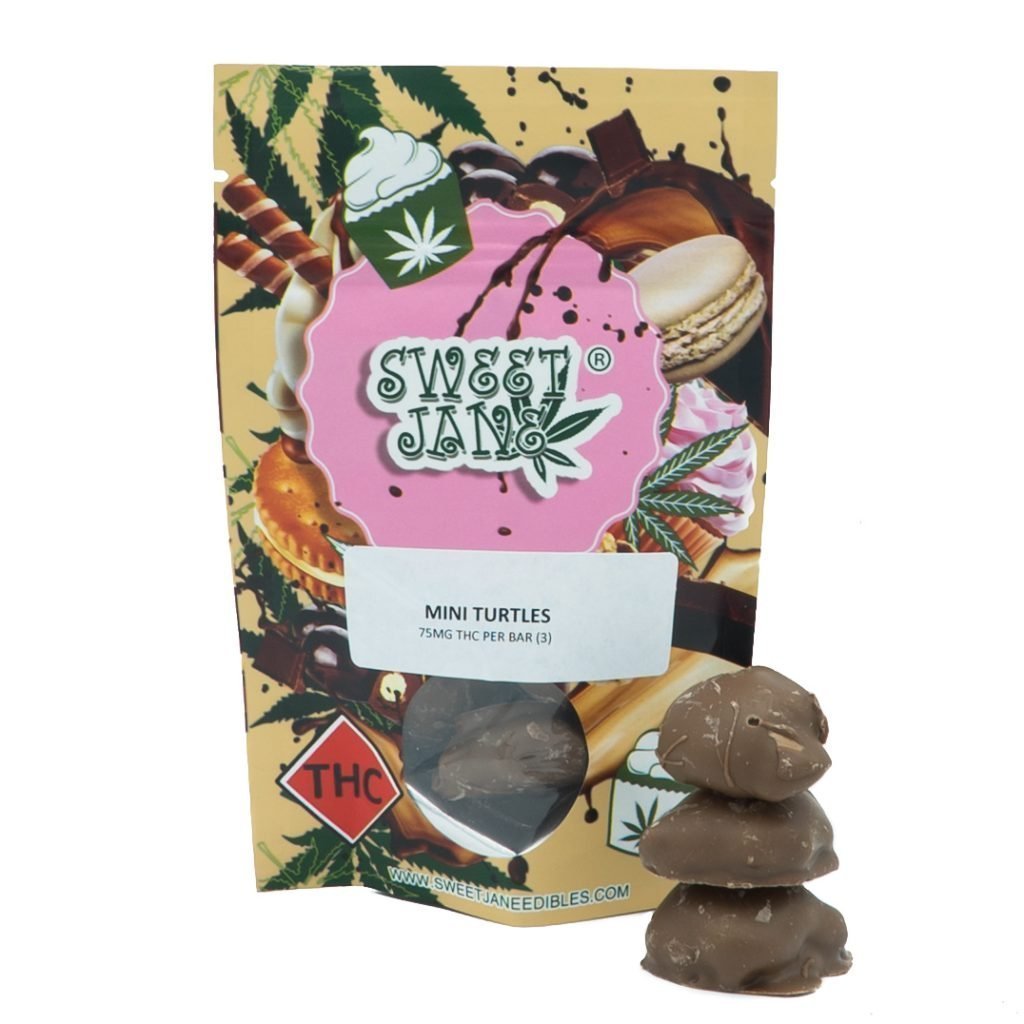 Sweet Jane – Mini Turtles
