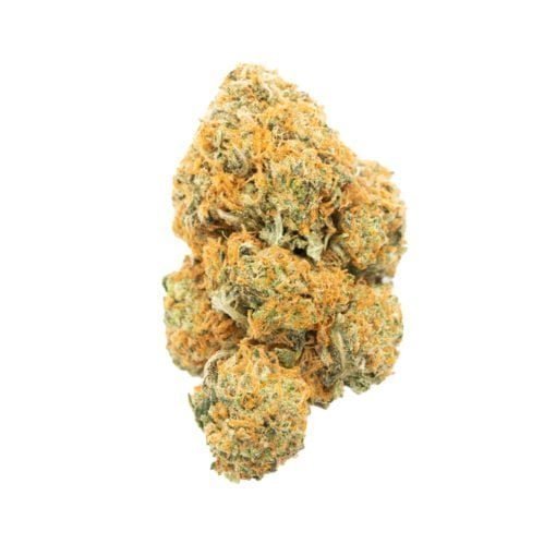 Moby Dick | Sativa
