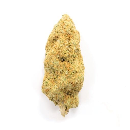 Orange Cookies | Sativa