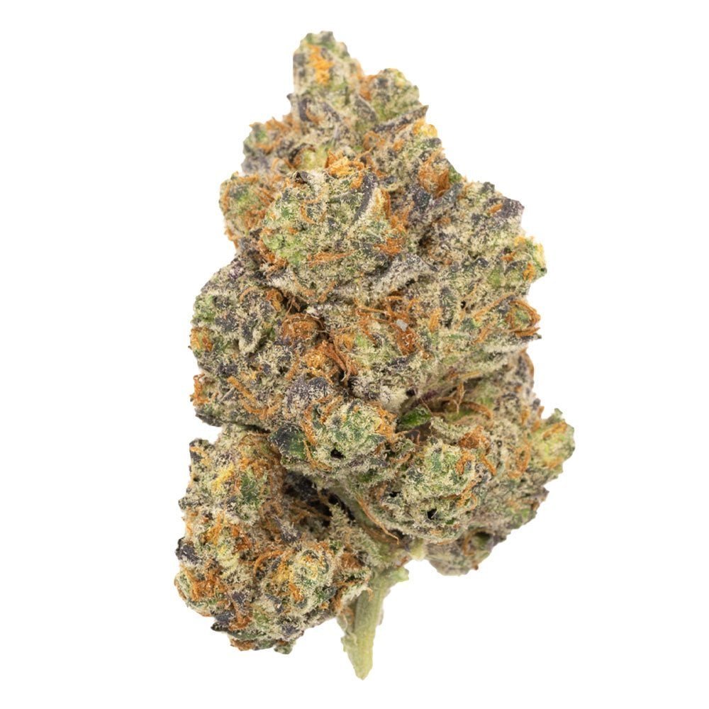 Trunk Funk Hybrid Deadhead Chemist - Image 2