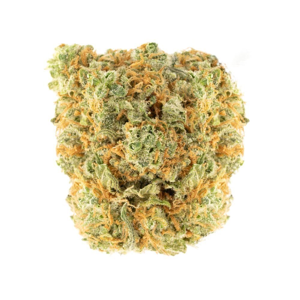 UK Cheese Hybrid Deadhead Chemist - Image 2