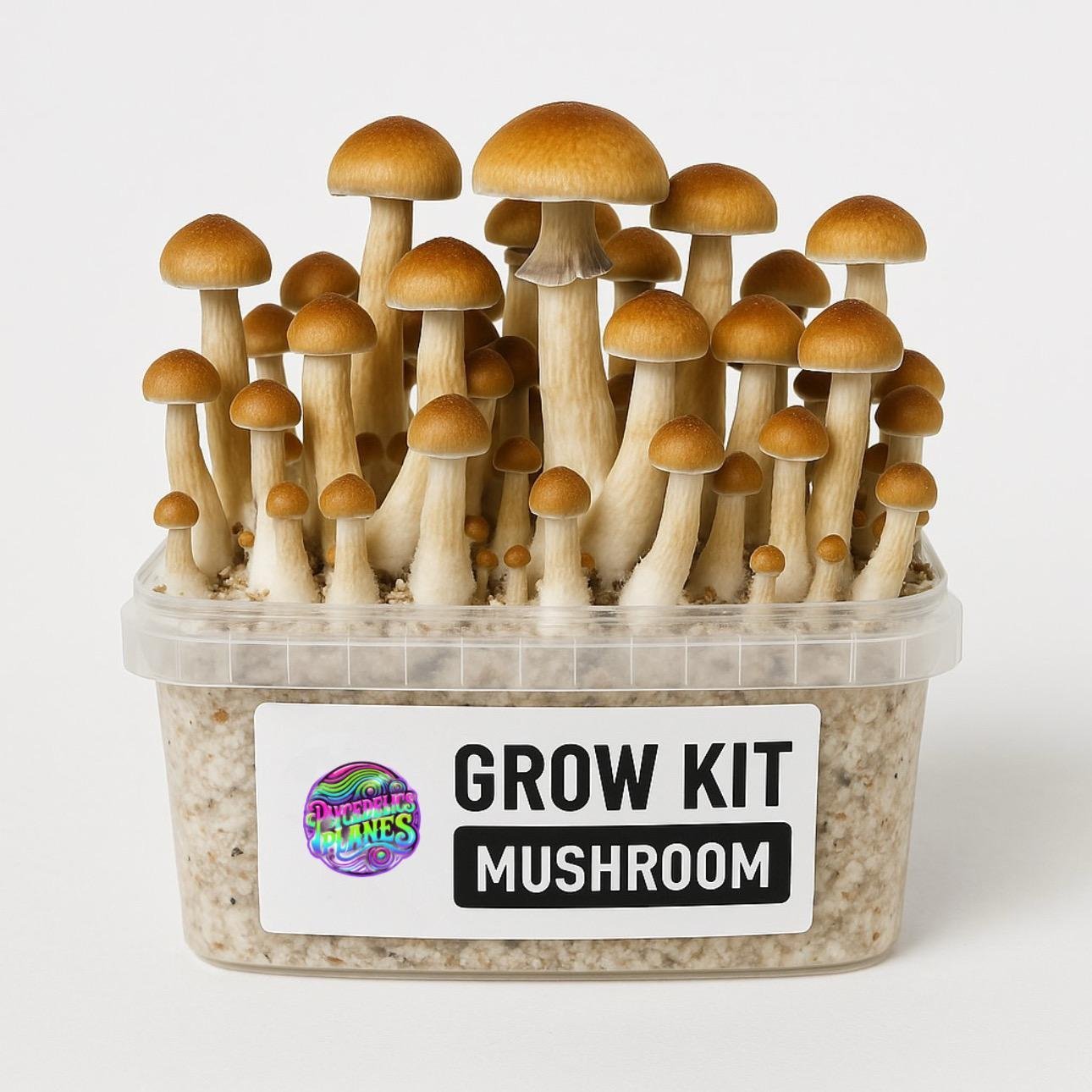 Magic Mushroom Grow Kit ‘Colombian’
