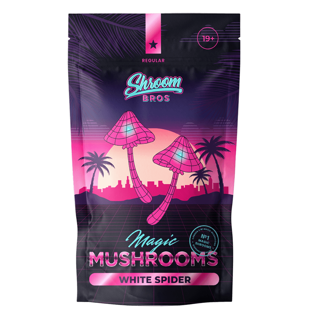 White Spider magic mushrooms