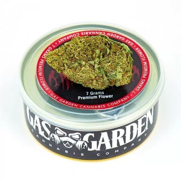 Tuna Can Cannabis 7g Gelato Mint (Hybrid) – Gas Garden
