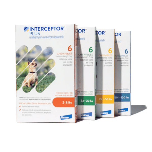 Interceptor Plus