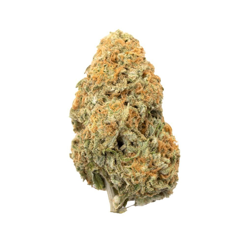 Lemon Drop | Hybrid