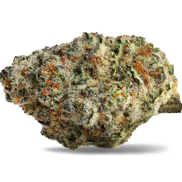 Strawberry Amnesia Sativa