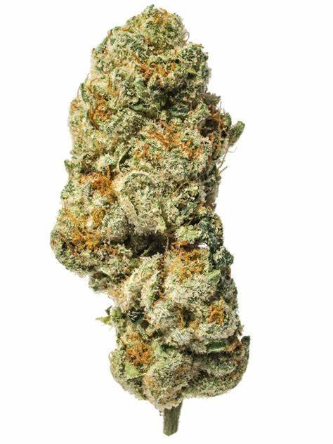 Triangle Kush Indica (AAA)